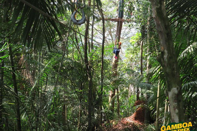 zipline-gamboa