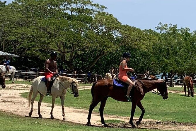zipline-horseback-ride-atv-and-catamaran-from-montego-bay