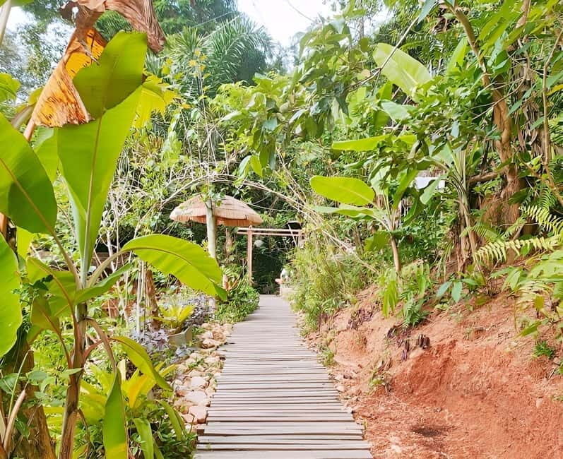 Zipline in Koh Samui Adventure activity tour - Authentic Insights from Real Travelers