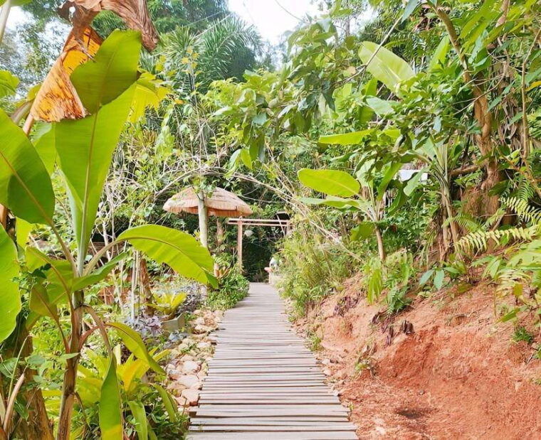 zipline-in-koh-samui-adventure-activity-tour