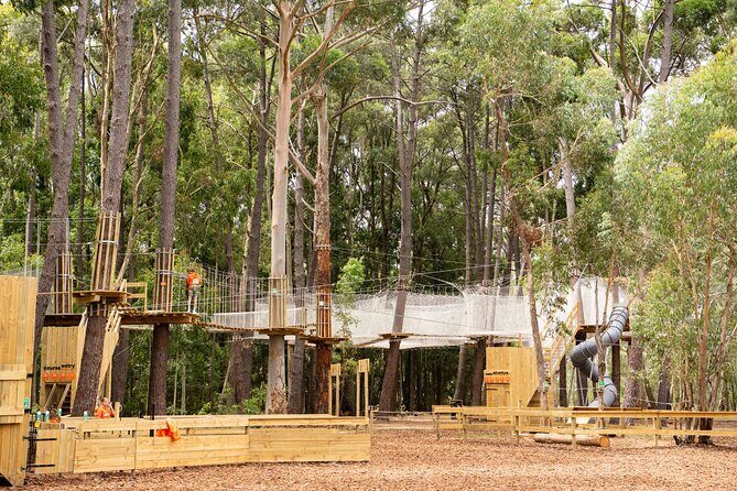 Zipline over the Heysen Trail & Through the Pines of Kuitpo - Who Is This Tour For?