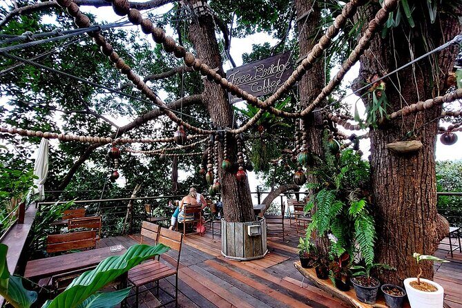 Zipline Ride on Koh Samui - The Transport and Logistics  