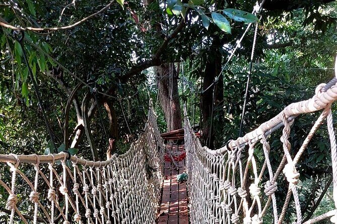 Zipline Ride on Koh Samui - Price and Value  