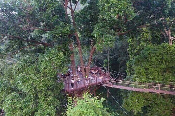 Zipline Ride on Koh Samui - FAQ  