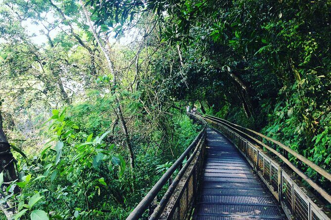 Zipline, Roller Cos Skywalk & with Lunch by EXPLERA DMC - Who Will Love This Tour?