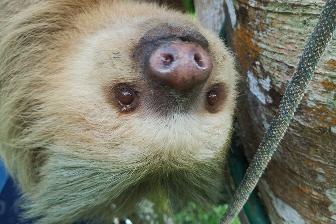 zipline-tour-on-the-central-valley-of-costa-rica