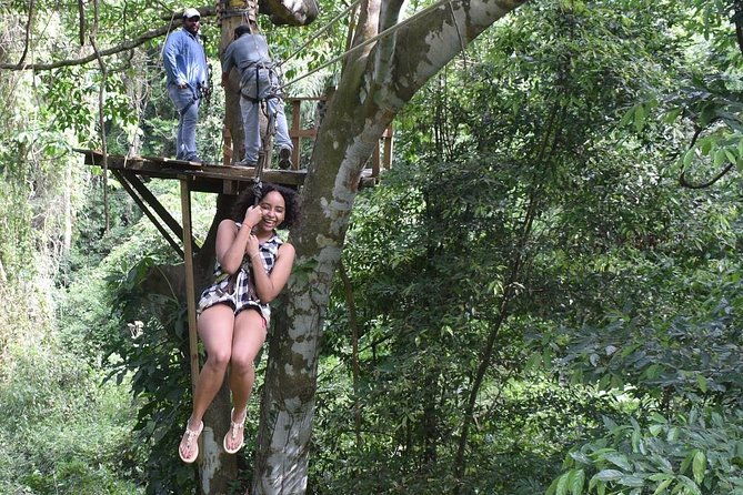 zipline-wildlife-park-beach-jam-packed-excursion