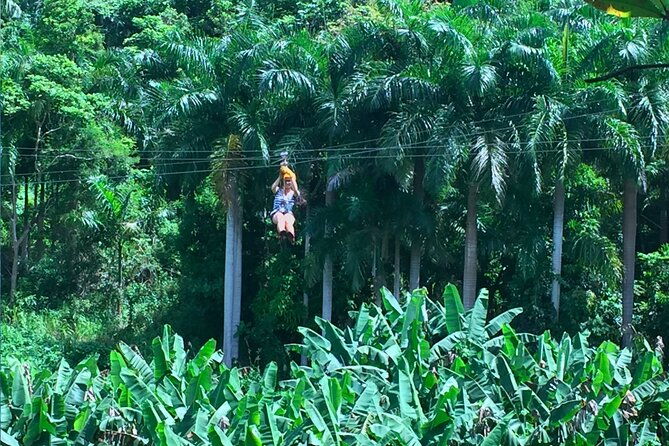 ziplining-at-the-rainforest-in-puerto-rico