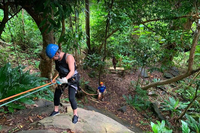 ziplining-at-the-rainforest-in-puerto-rico