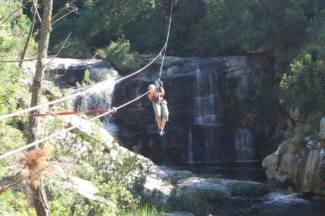 Ziplining Elgin - The Value for Money