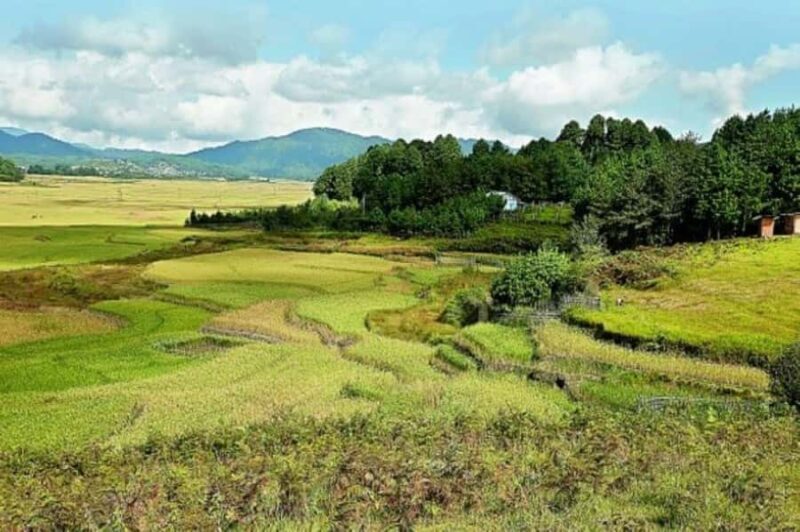Ziro in a Day: Culture, Craft & Countryside Adventure Tour - Wrapping Up the Day