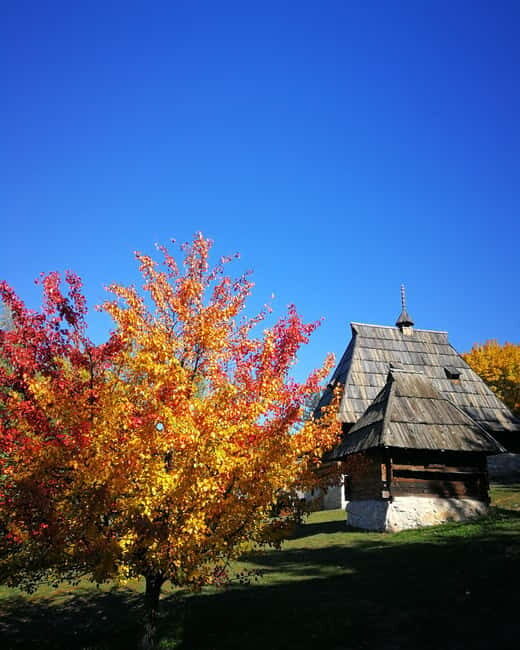 Zlatibor tour - Gold gondola, Stopic cave, Sirogojno & falls - Frequently Asked Questions  