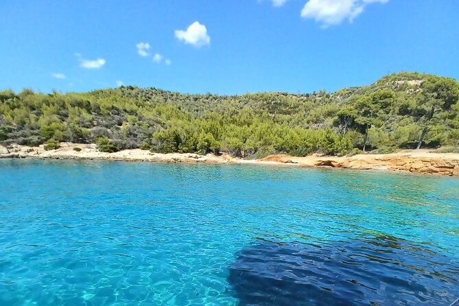 zoe-electric-boat-daily-cruises