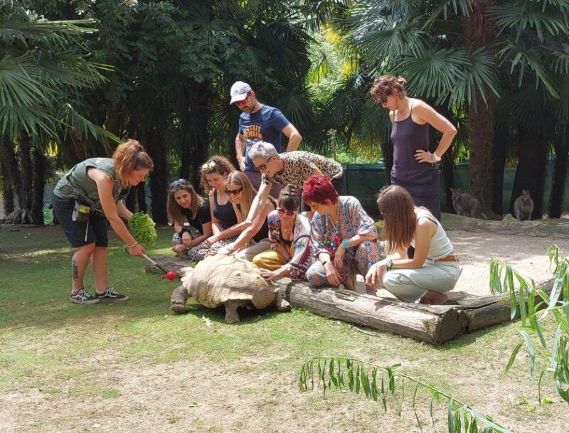 Zoo al Maglio: 1-Day Ticket for the Jungle of Ticino - What the Reviews Say
