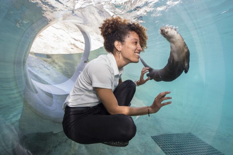Zoo Miami: General Admission Ticket - What makes Zoo Miami a standout?