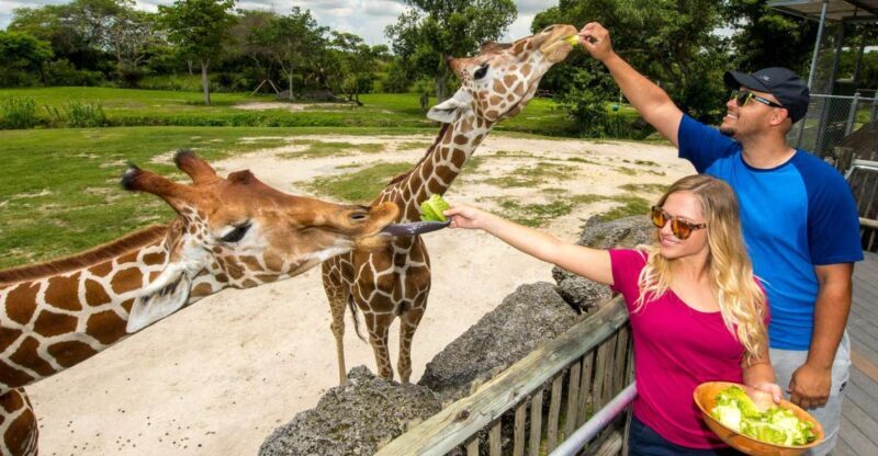 Zoo Miami: General Admission Ticket - Analyzing the Value for Money
