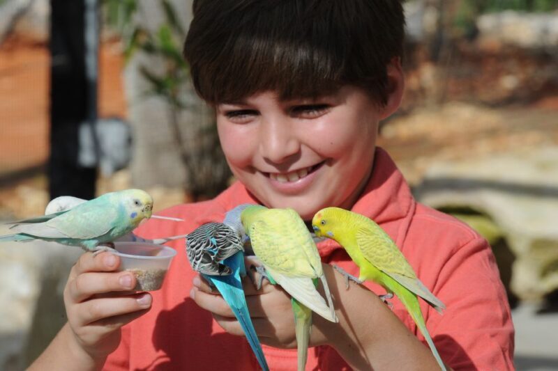 Zoo Miami: General Admission Ticket - Practical Tips for Visiting Zoo Miami