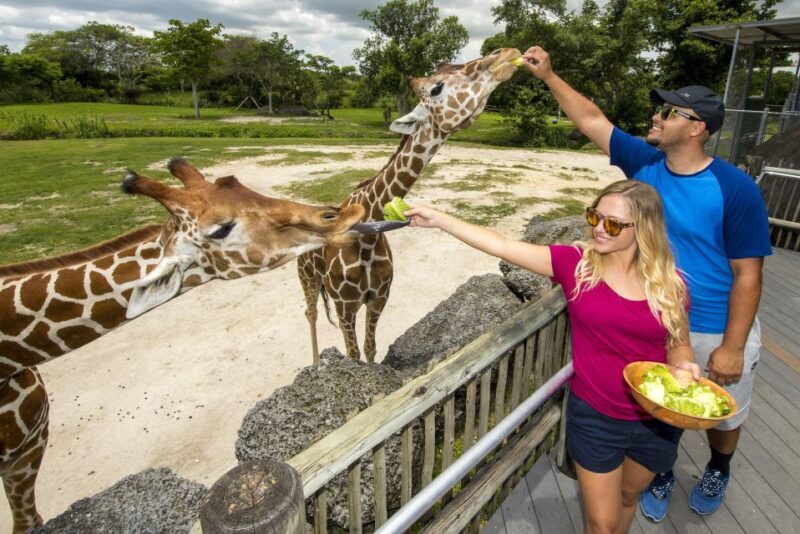 Zoo Miami: General Admission Ticket - FAQs