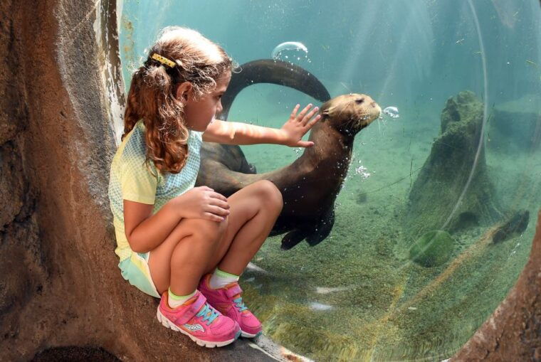 zoo-miami-general-admission-ticket