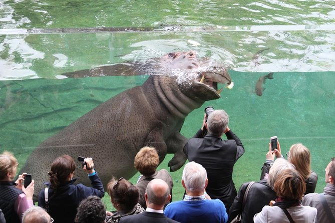 zoo-of-beauval-private-trip