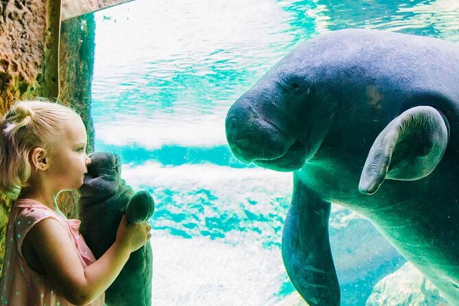 zootampa-at-lowry-park-admission-ticket