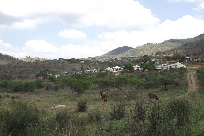 Zulu Cultural Experience - Tour to the village of iSithumba and PheZulu - Price and Value Analysis