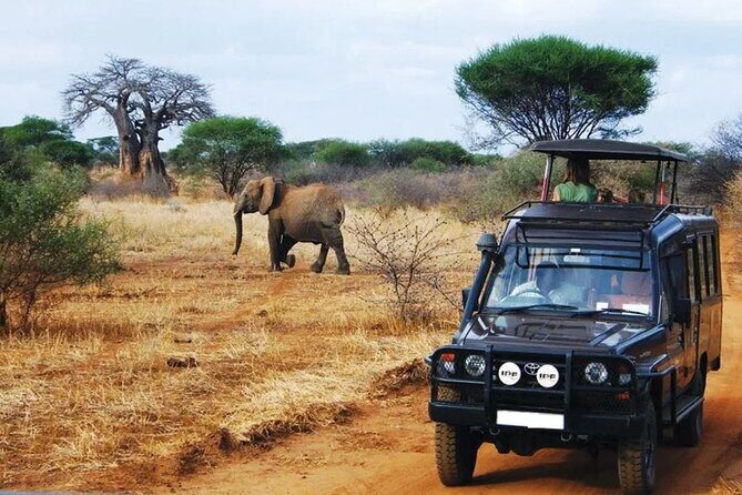 Zululand 5 Day Private Safari from Durban - Who Will Love This Tour?