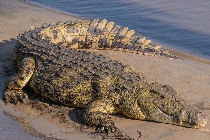Zululand 5 Day Private Safari from Durban - The Sum Up