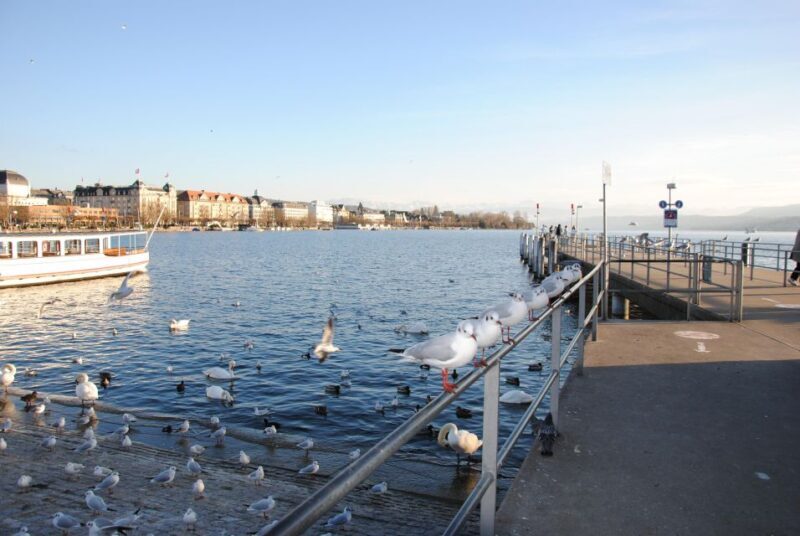 Zurich: 360° City Walk Tour Including Hidden Spots - FAQ