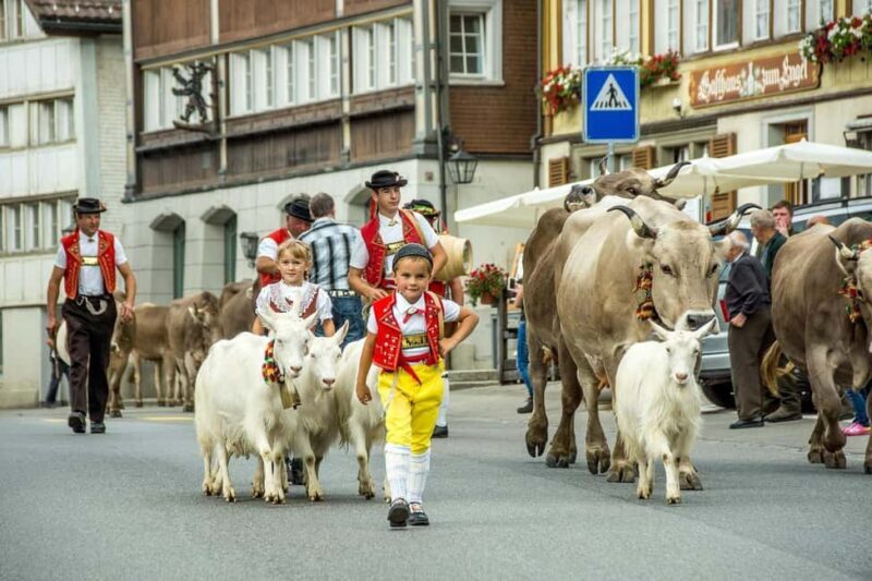 Zürich: Appenzell, Liechtenstein, and Heidiland Private Tour - Transportation and Group Size