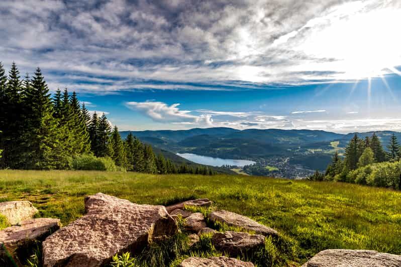 Zurich: Black Forest, Titisee, and Rhine Falls Bus Day Trip - What to Expect at Each Stop