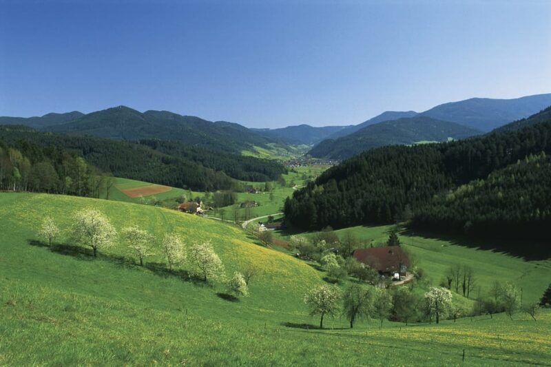 Zurich: Black Forest, Titisee, and Rhine Falls Bus Day Trip - The Sum Up