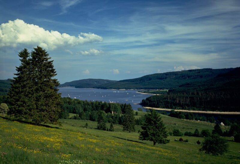 Zurich: Black Forest, Titisee, and Rhine Falls Bus Day Trip - FAQ