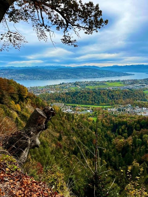 Zurich cable car scenery up panoramic lake Zurich comfort - Pricing and Value: Is It Worth It?