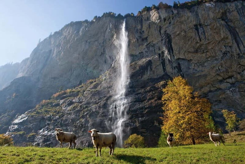 Zurich: Day Trip to Grindelwald, Interlaken & Lauterbrunnen - A Complete Breakdown of the Experience