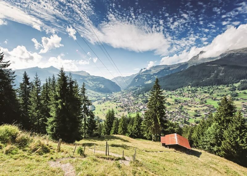 Zurich: Day Trip to Grindelwald, Interlaken & Lauterbrunnen - Frequently Asked Questions