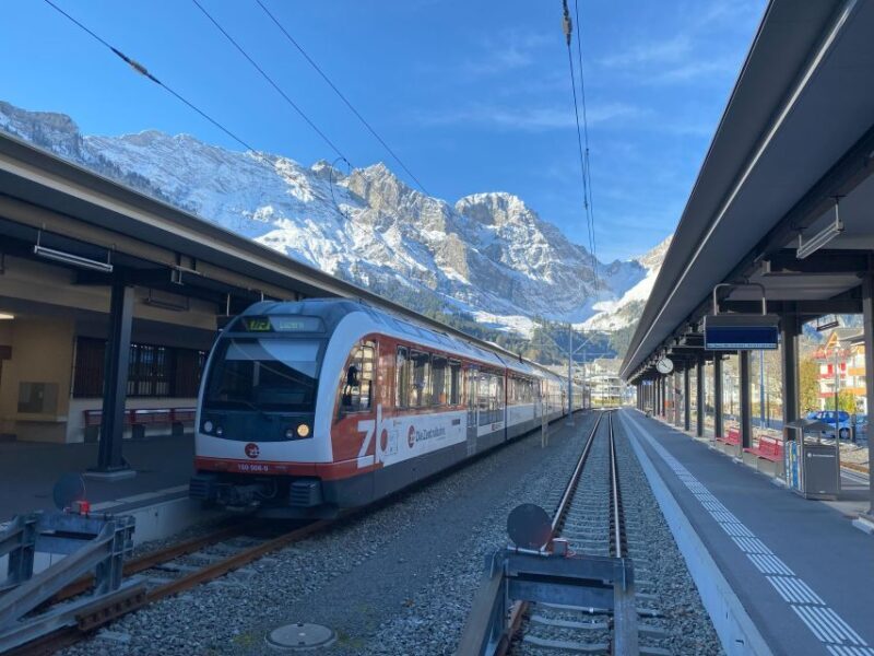 Zurich: Engelberg & Mount-Titlis Escapade Private Day Trip - Who Is This Tour Best For?