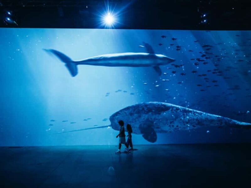 Zurich: Entrance ticket to the "Titanic" immersive exhibition at Lichthalle Maag - The Sum Up