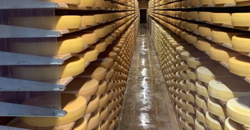 Zurich: Gruyères Castle, Cheese, Chocolate Private Day Tour - Introduction