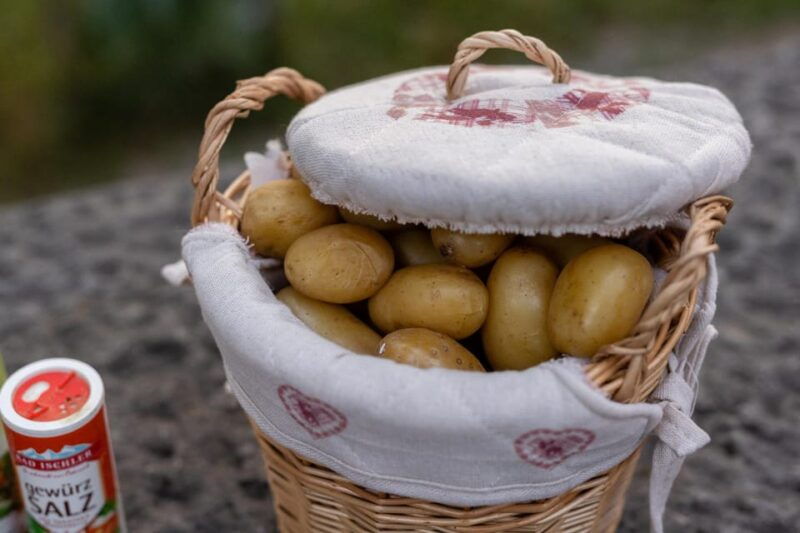 Zurich: LGBTQ city tour through Zurich incl. raclette - The Highlights: What You’ll Experience