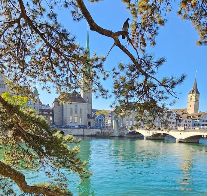 Zürich: Private Costumized Tour with Local Expert Tourguide - Exploring Zurich: A Personal Tour of Hidden Treasures