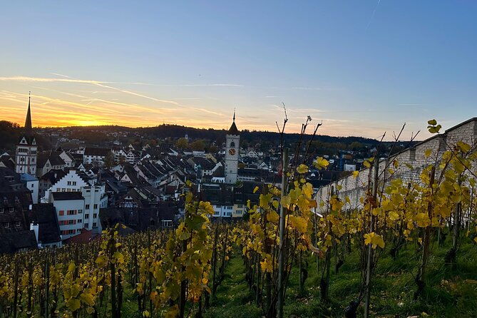 zurich-private-tour-stein-am-rhein-schaffhausen-and-rhine-cruise