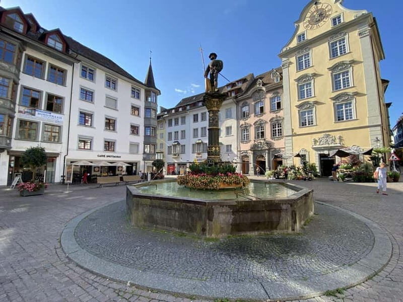 Zurich: Private Tour to Rhine Falls & Historic Schaffhausen - Practical Details & Value