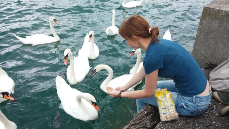 Zurich: Private Walking Tour with a Tour Guide - The Sum Up