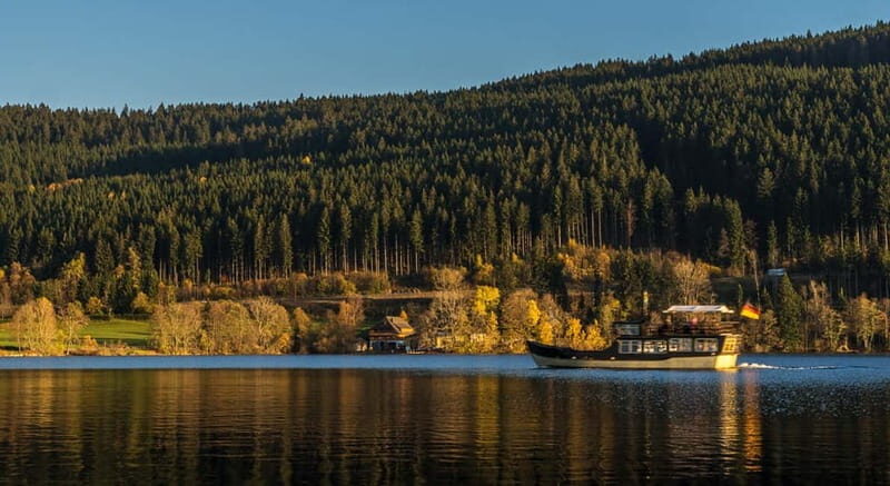 Zurich: Rhine Falls, Stein am Rhein and Titisee Private Trip - Who Is This Tour Best For?