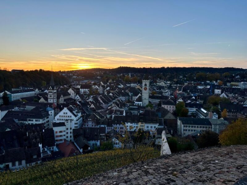 Zurich: Stein Am Rhein, Schaffhausen, & Rhine River Cruise - An Overview of the Experience