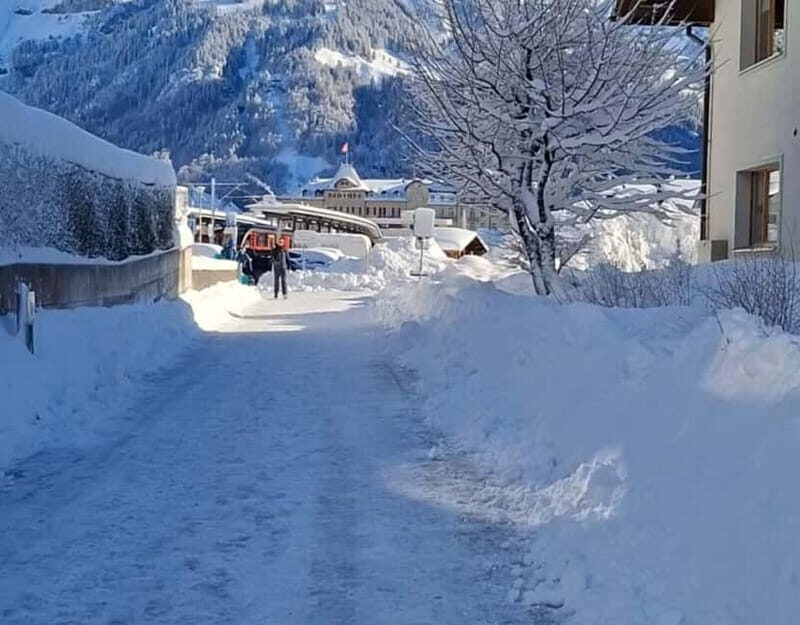 Zurich: Titlis Engelberg and Luzern Full-Day Private Tour - Key Points