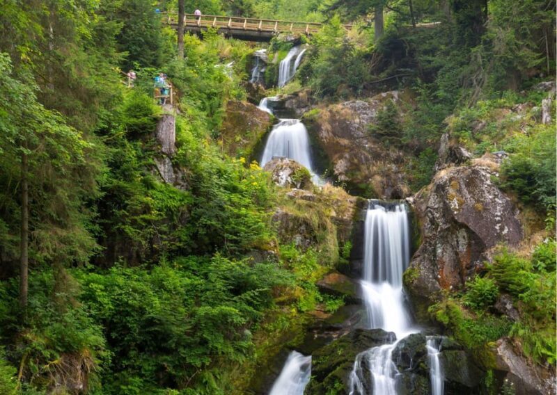 Zürich:Private Car Tour- Rhine Falls, Titisee & Black Forest - An In-Depth Look at the Tour